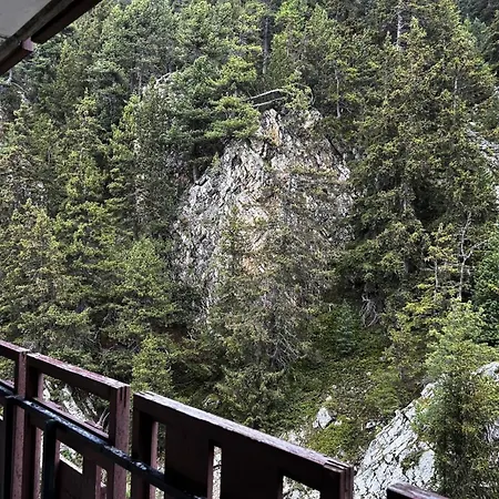 Saint Jacques 2 - Le Saint Jacques B N°614 Mae-5523